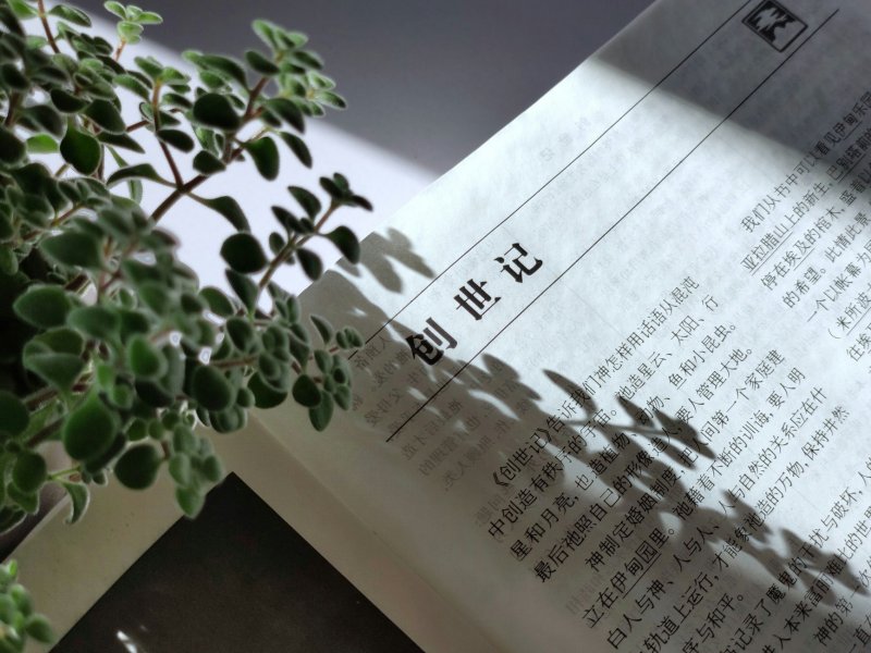 苏州创业者看过来！好快记财务代办营业执照省时间